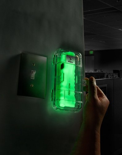Peli 3310ELS - Wall-mountable Emergency Lighting Station-High in the Dark